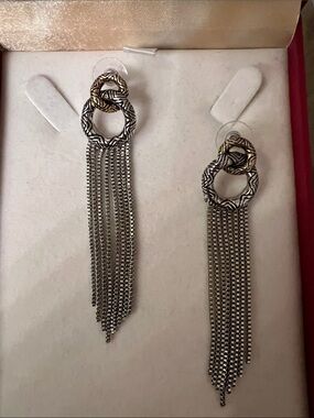 Two-Tone Silver and Gold Fringe Drop Earrings - Women Jewelry